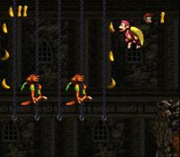 une photo d'Ã©cran de Donkey Kong Country 2 sur Nintendo Super Nes